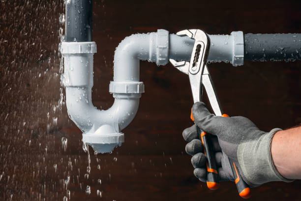 Professional Plumbing technician working in Fredonia, WI